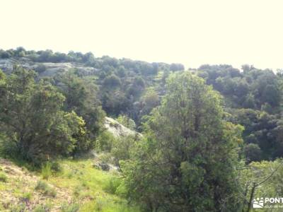 Puentes Medievales Colmenar Viejo; parque natural aralar foro cuellar calzada romana cercedilla hiki